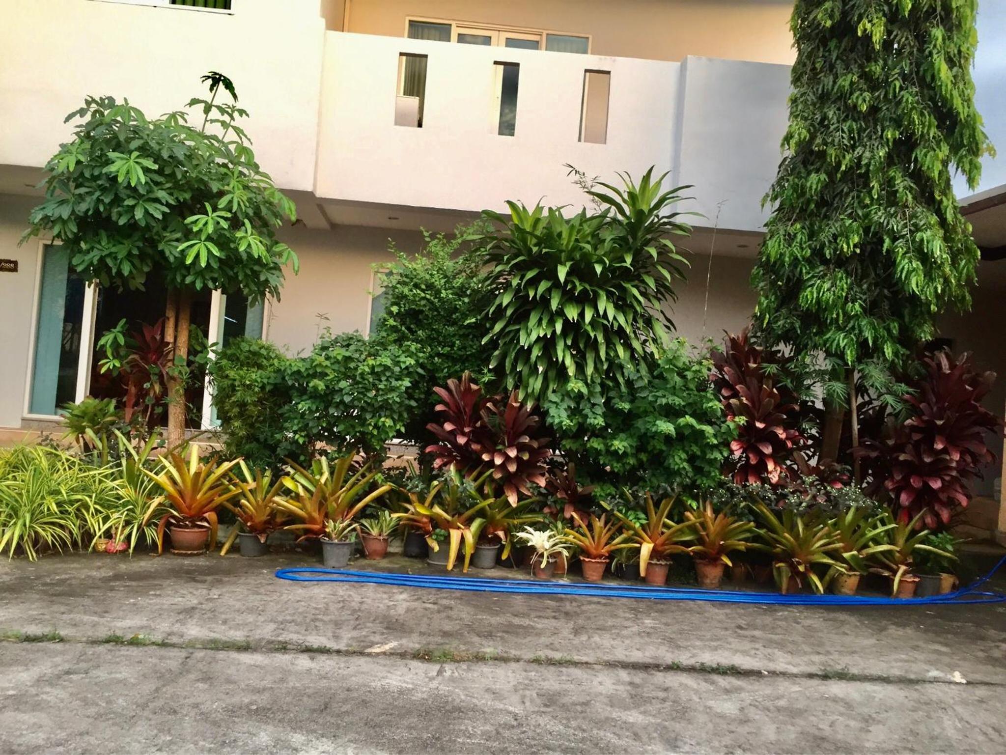 Siray House, photo 74