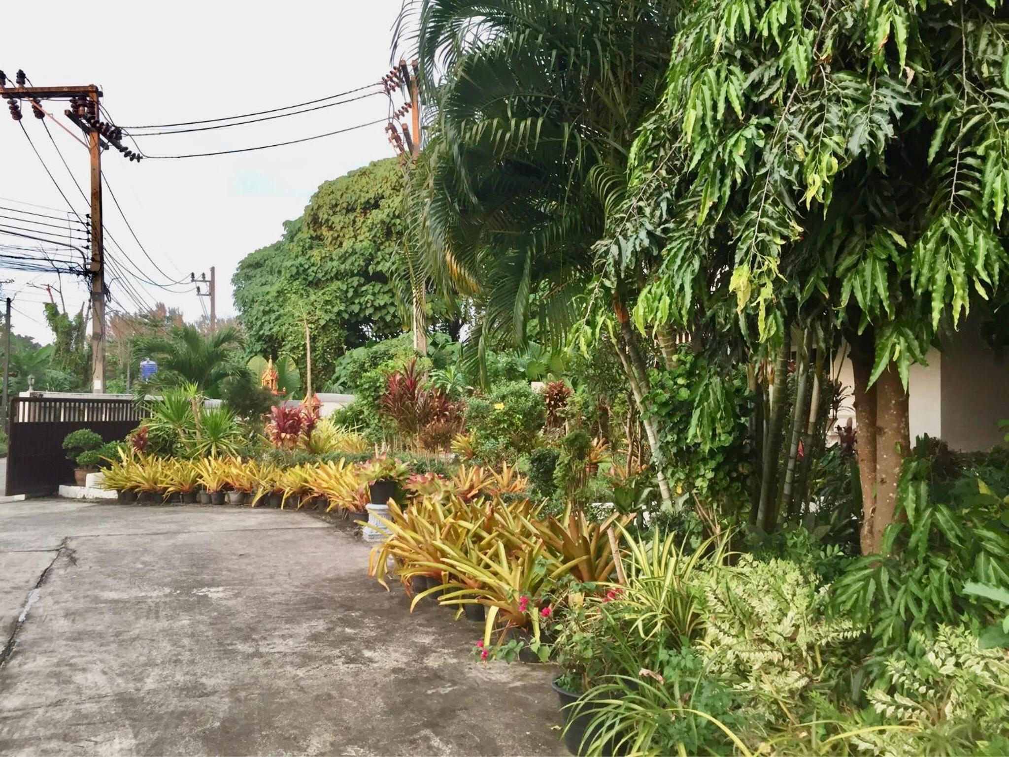 Siray House, photo 64