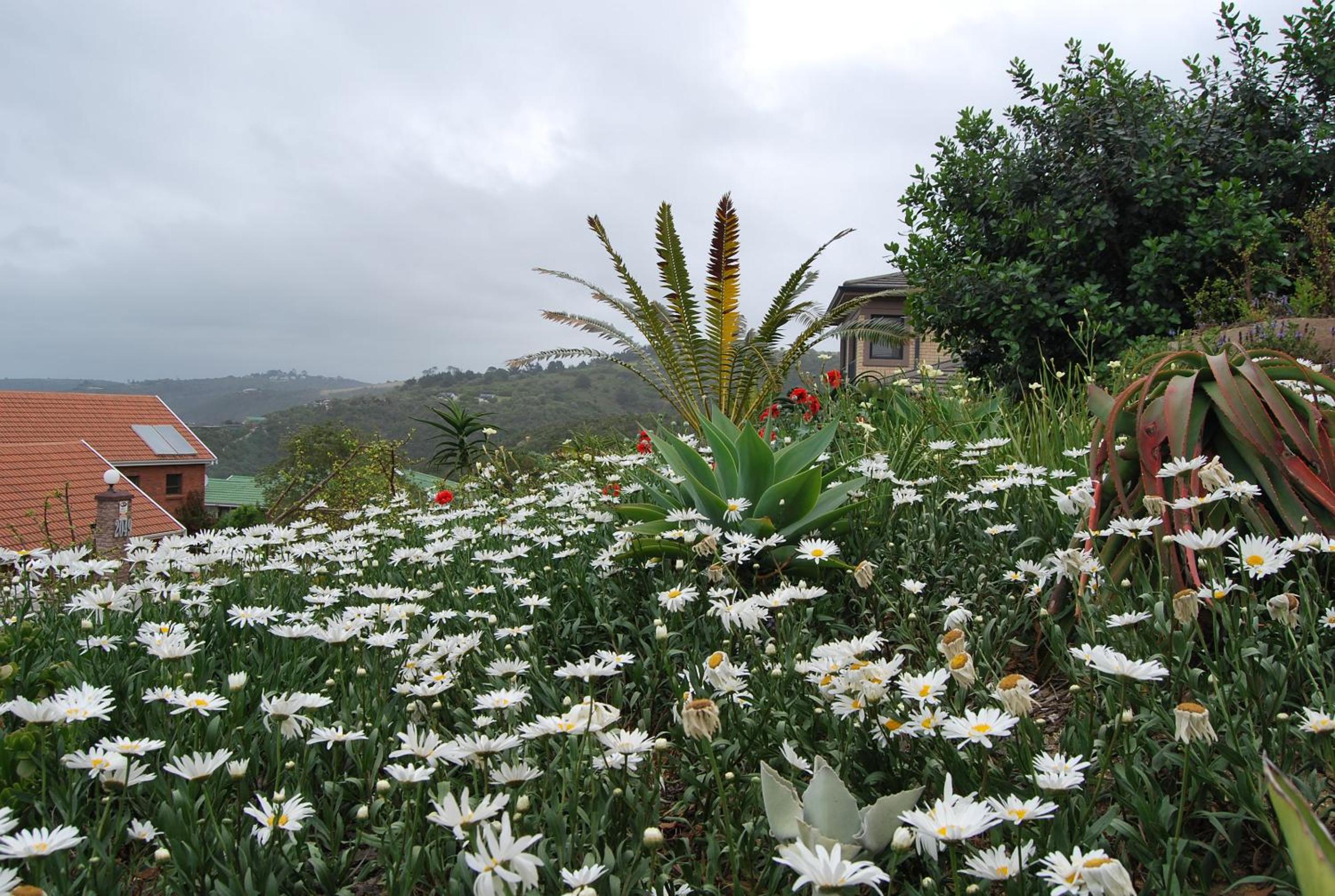 Wilderness Ocean View Cottage view 4