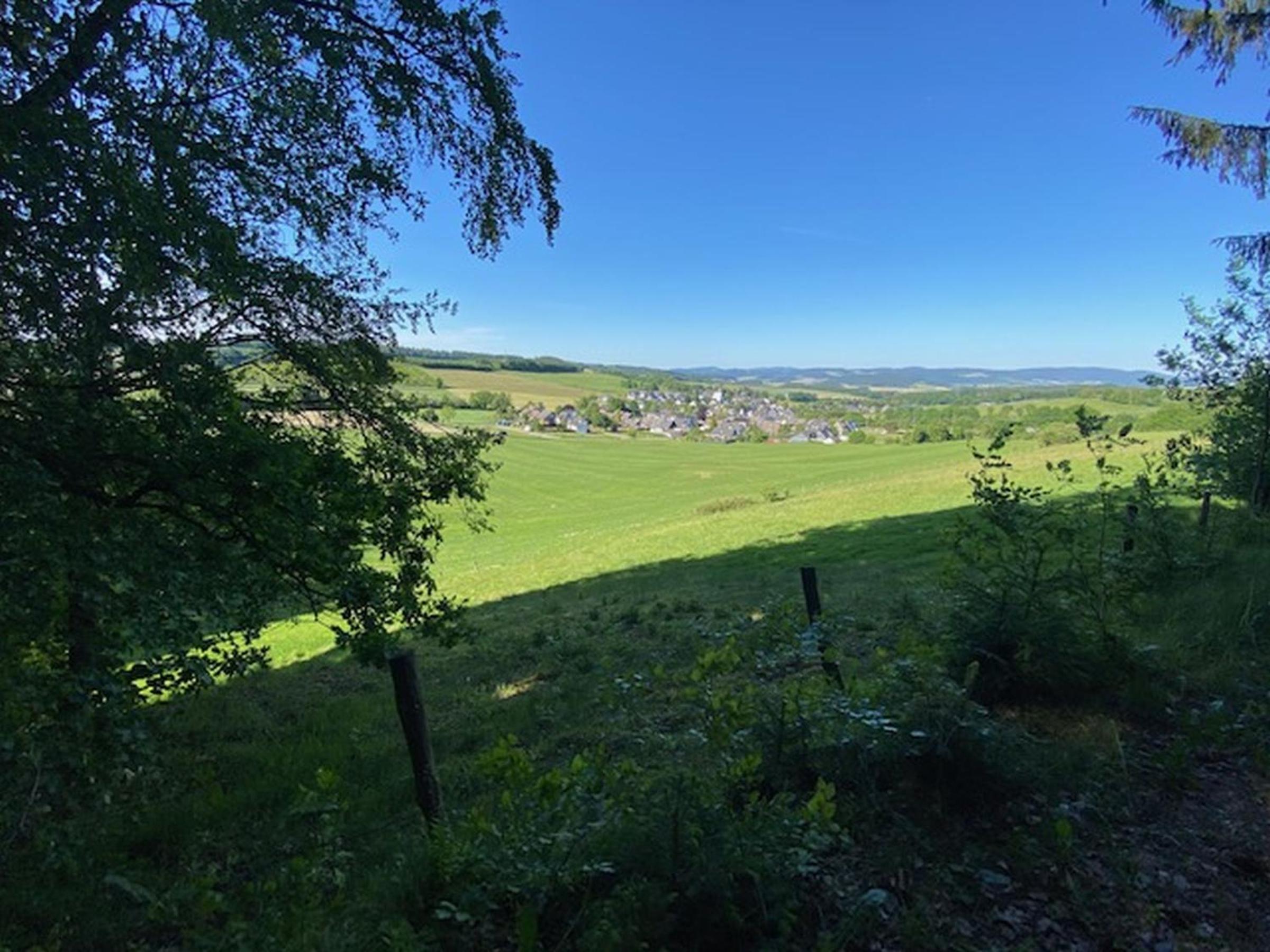 Ferienwohnung Riekes en Schmallenberg