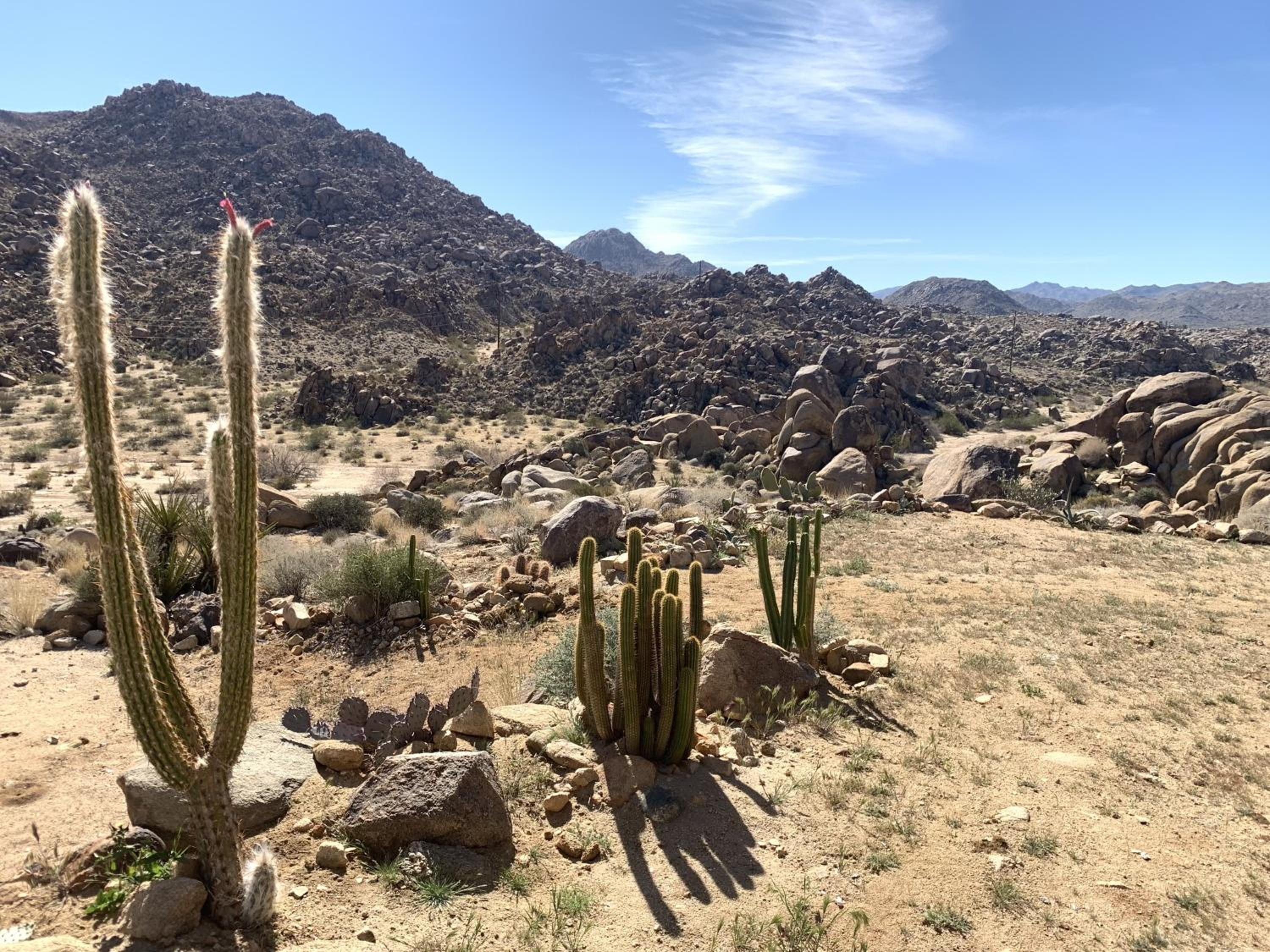 Rock Box - Modern Adobe Nestled in the Boulders Above Coyote Hol home view 4
