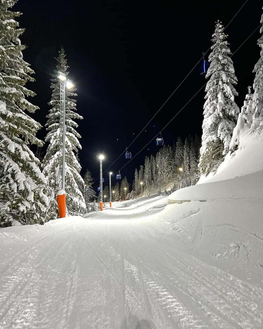 Nivalis Hill 8