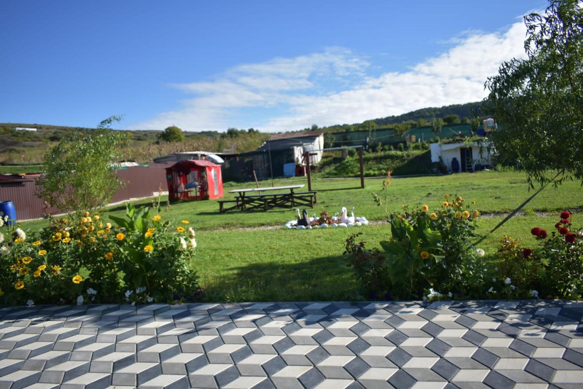 Photo 16