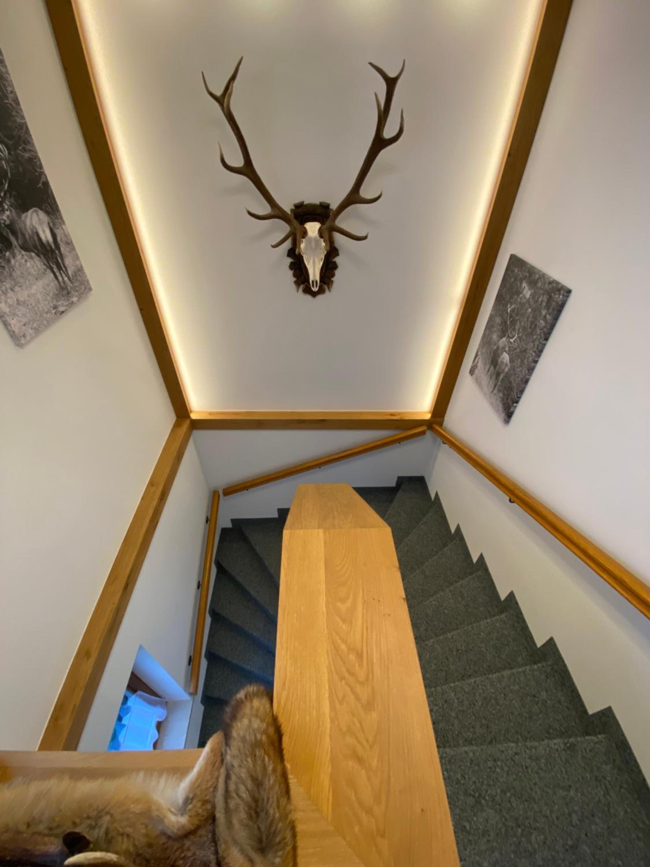 Chalet Tauernbär