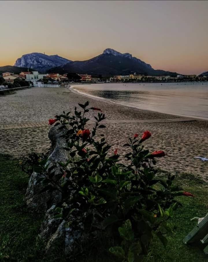 Prima Spiaggia Apartments