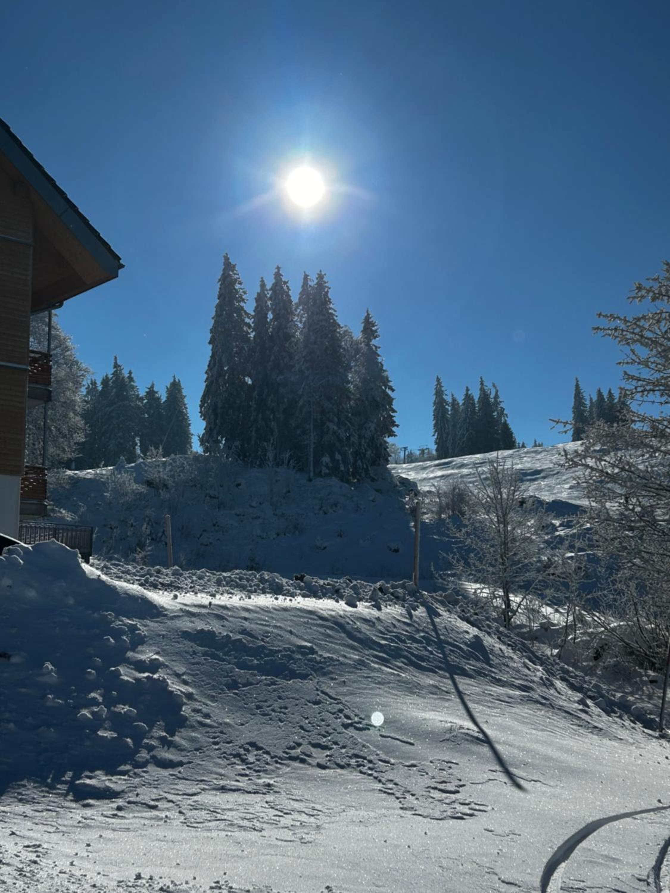 Feldberg Apartment - direkt an der Skipiste - mit Sauna