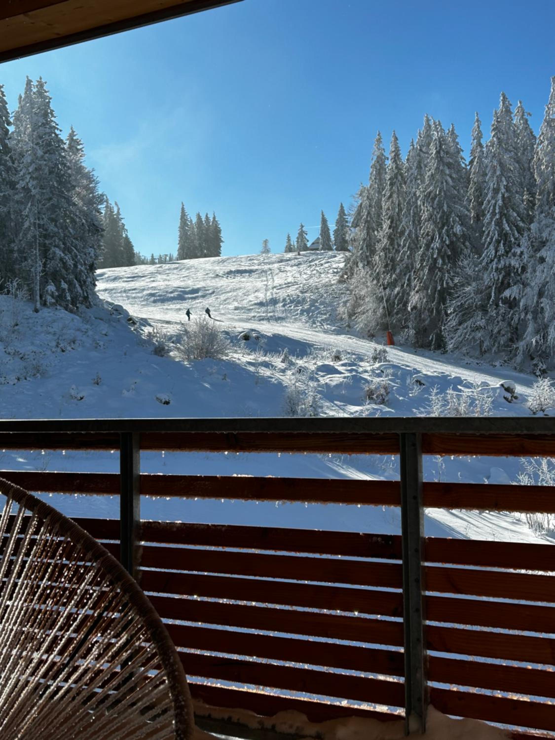 Feldberg Apartment - direkt an der Skipiste - mit Sauna
