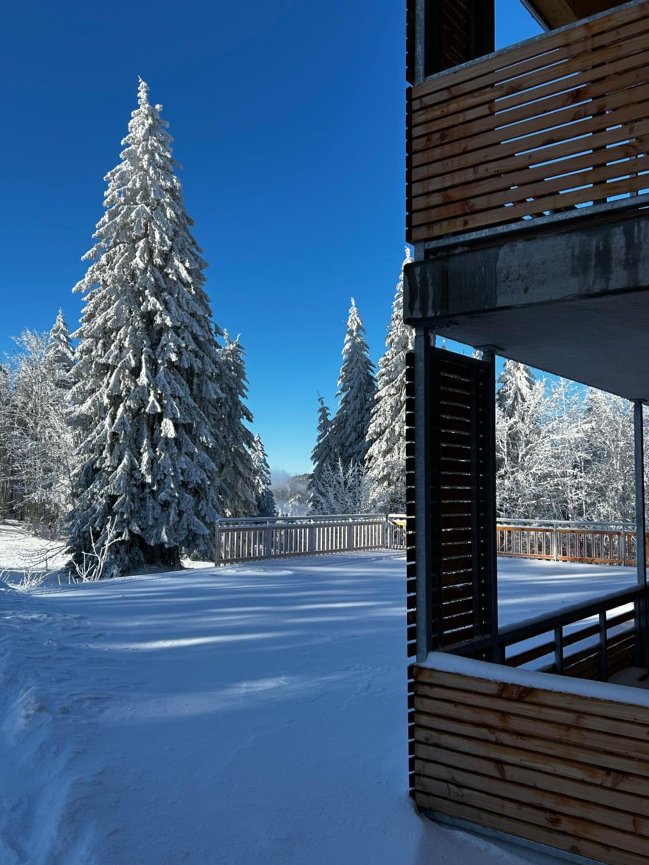 Feldberg Apartment - direkt an der Skipiste - mit Sauna