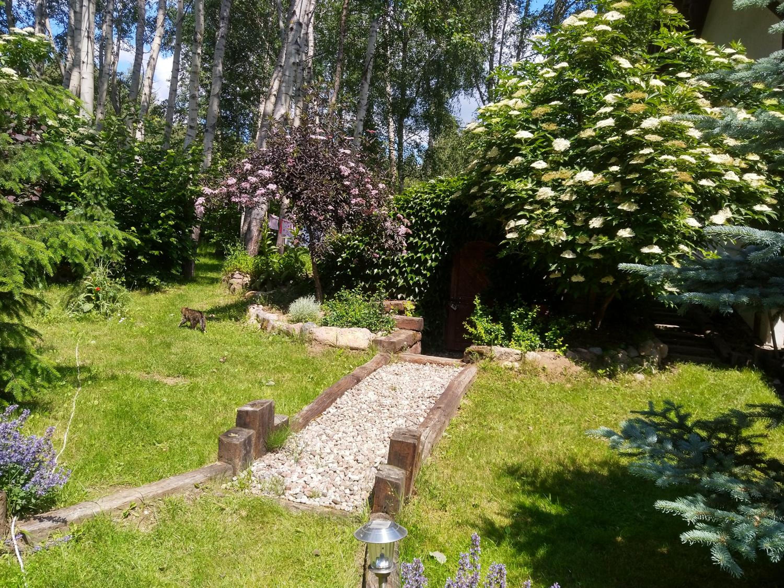 Photo 6