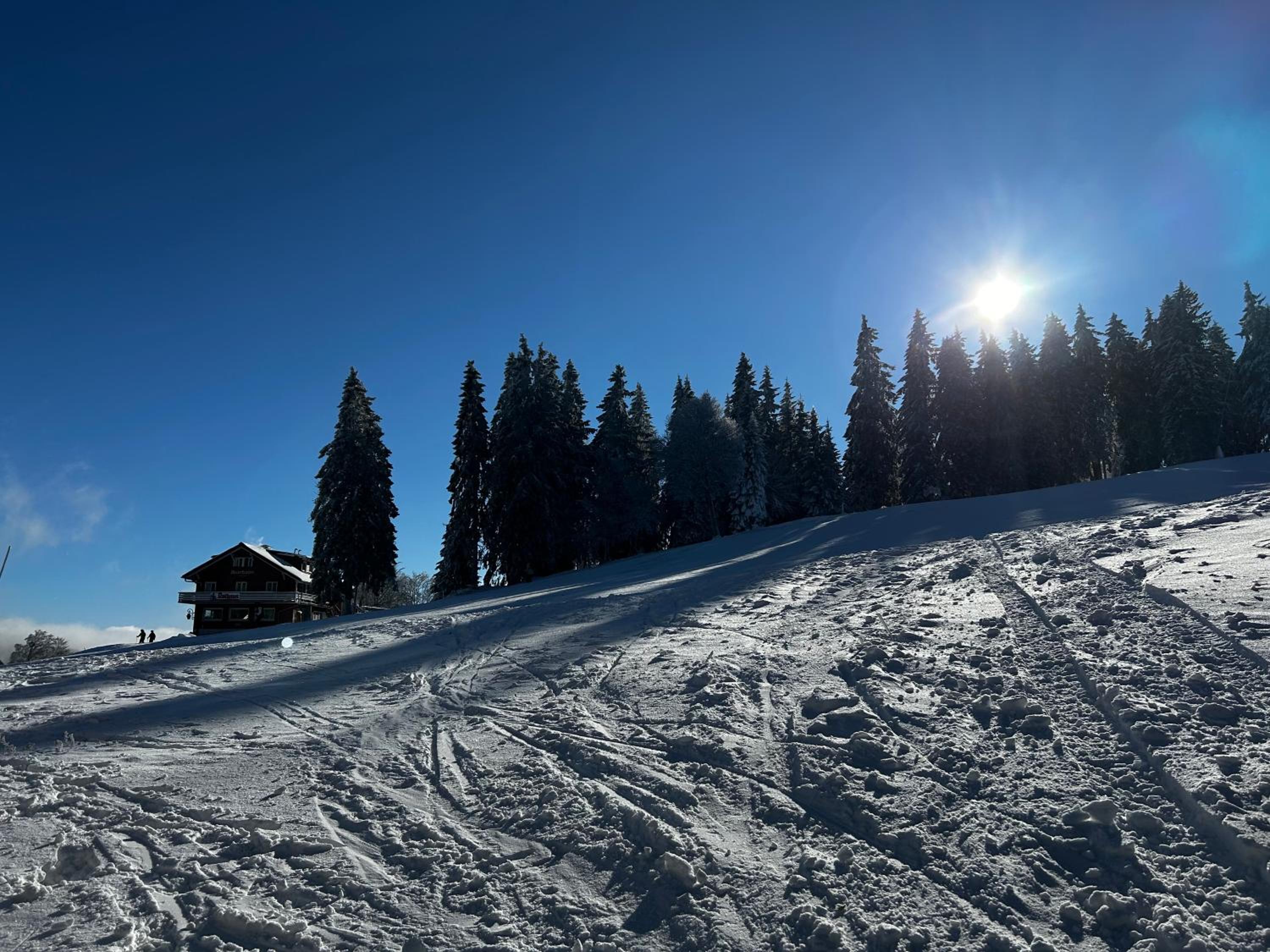 Feldberg Apartment - direkt an der Skipiste - mit Sauna