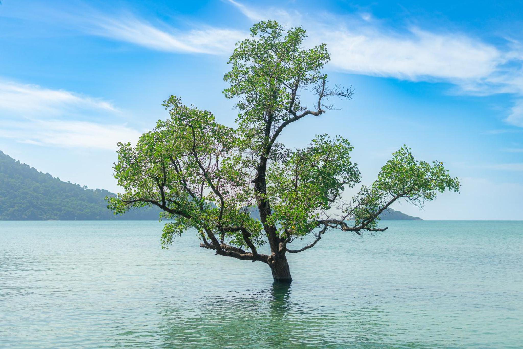 Solario Beachfront Villa - Koh Chang