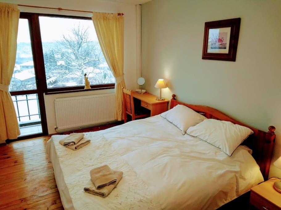 Hillside Guesthouse Pushevo