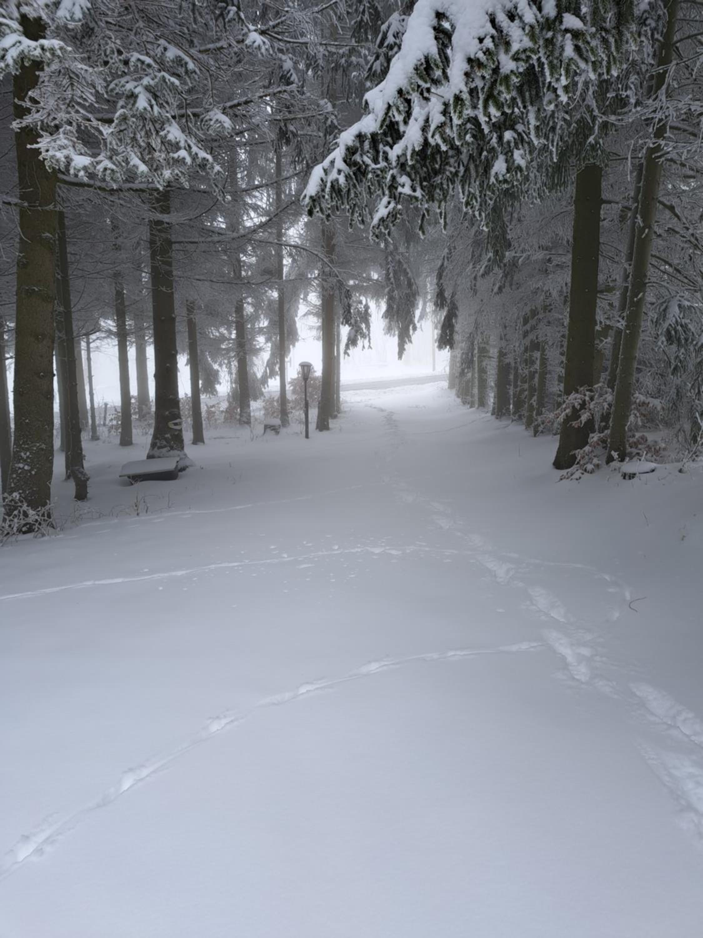 Waldhaus St. Egidien