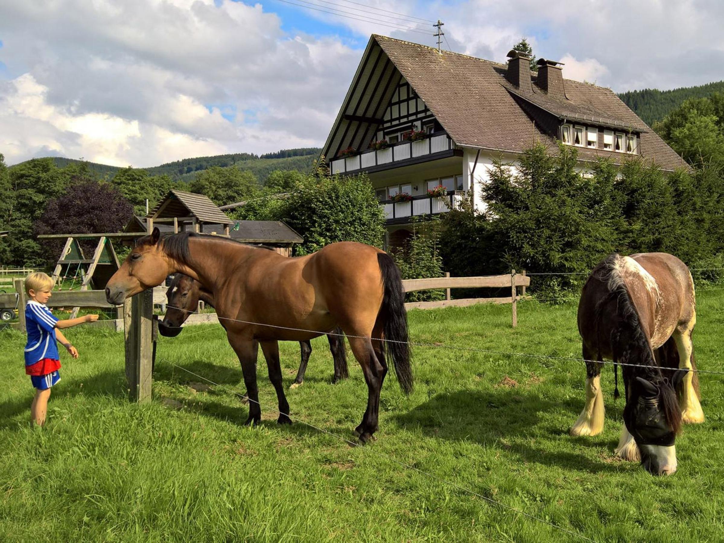 Ferienwohnung Lennehof