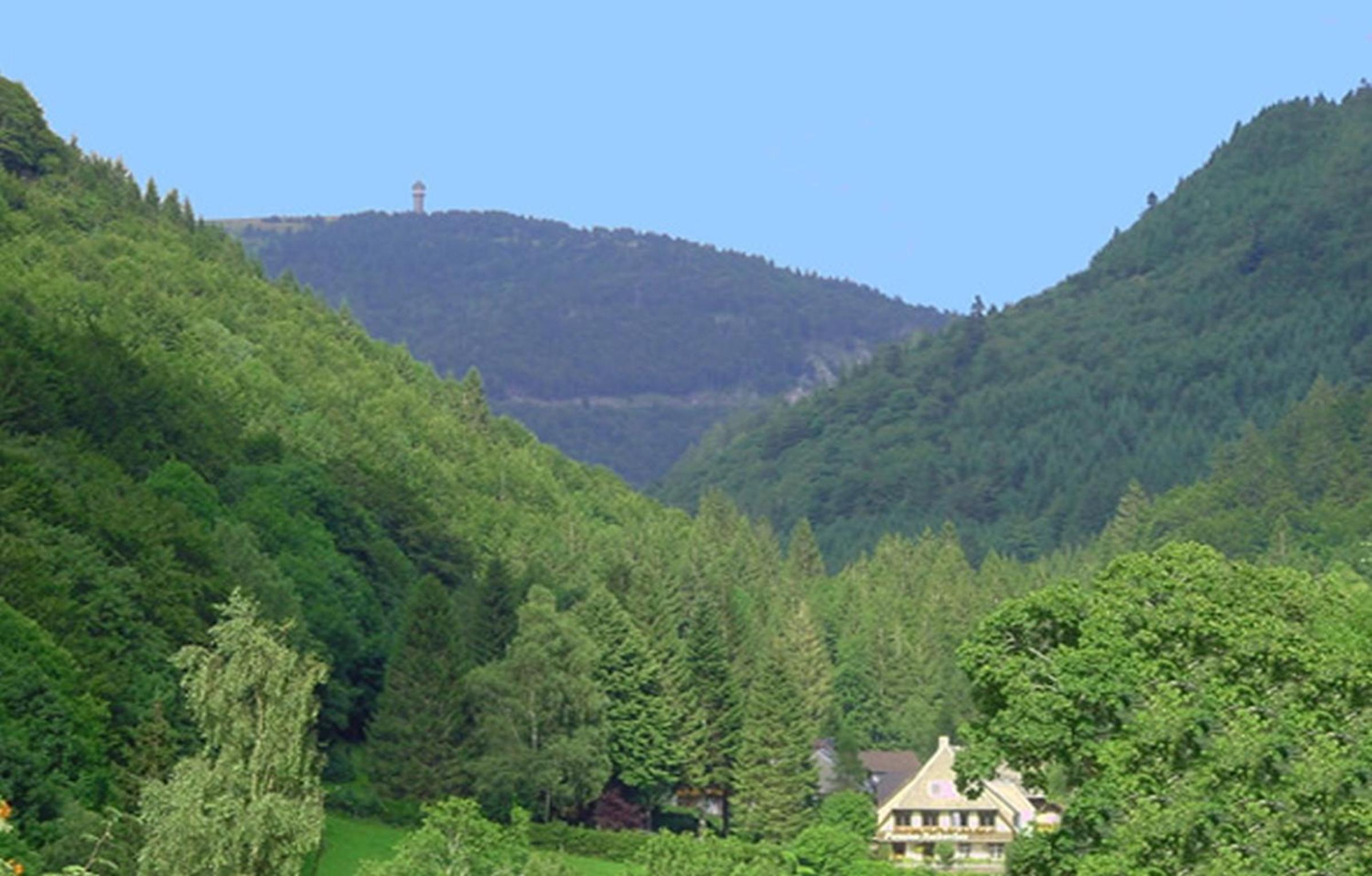 Haus Maria