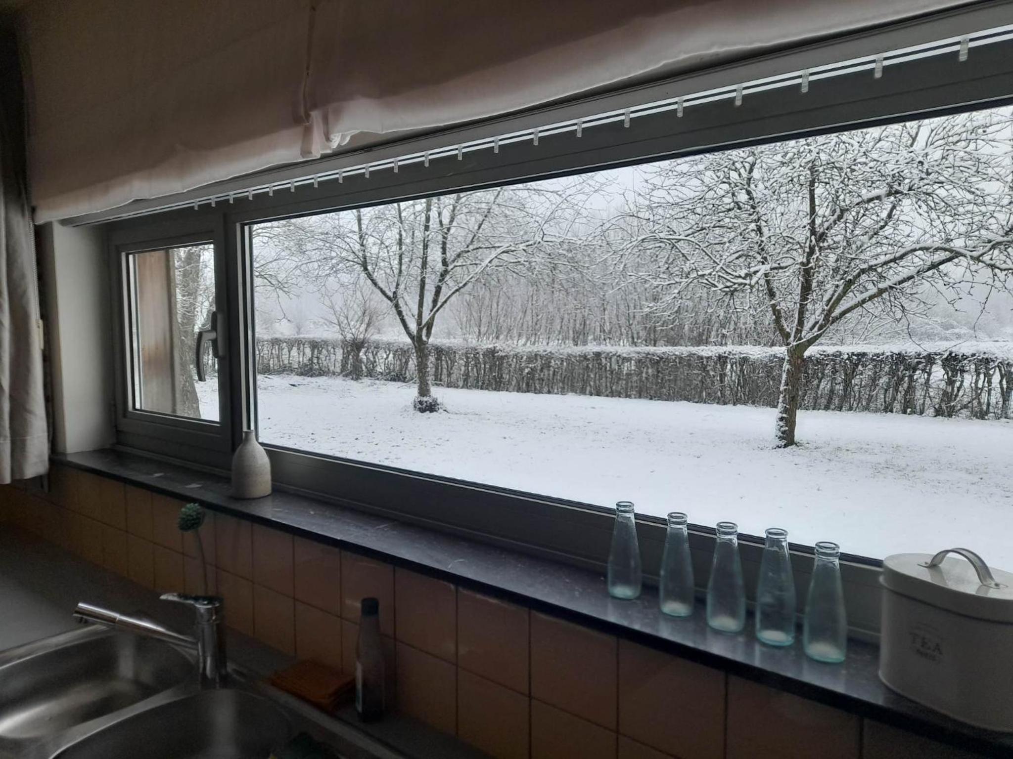 Vakantiewoning De Luysmolen