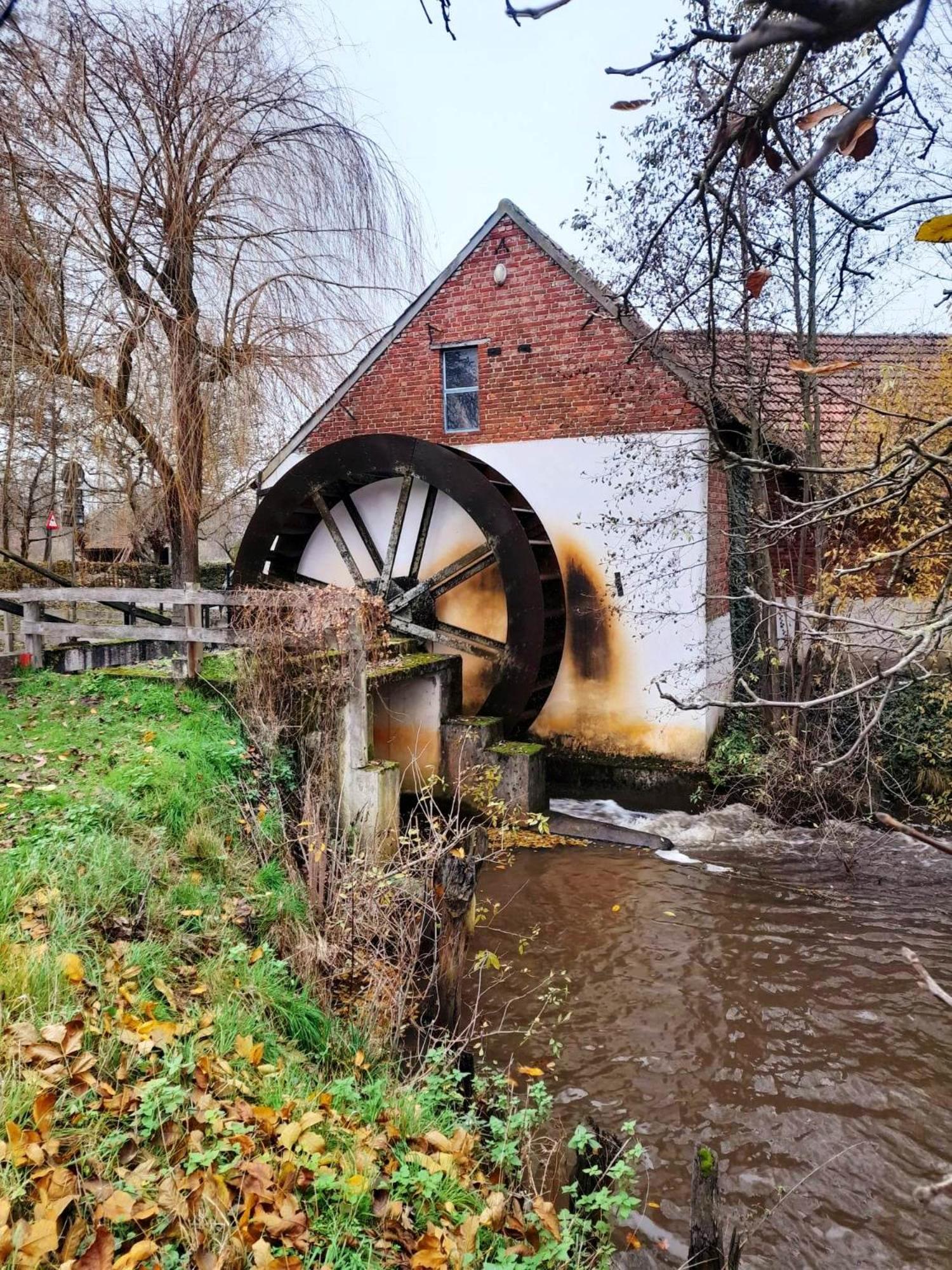 Vakantiewoning De Luysmolen