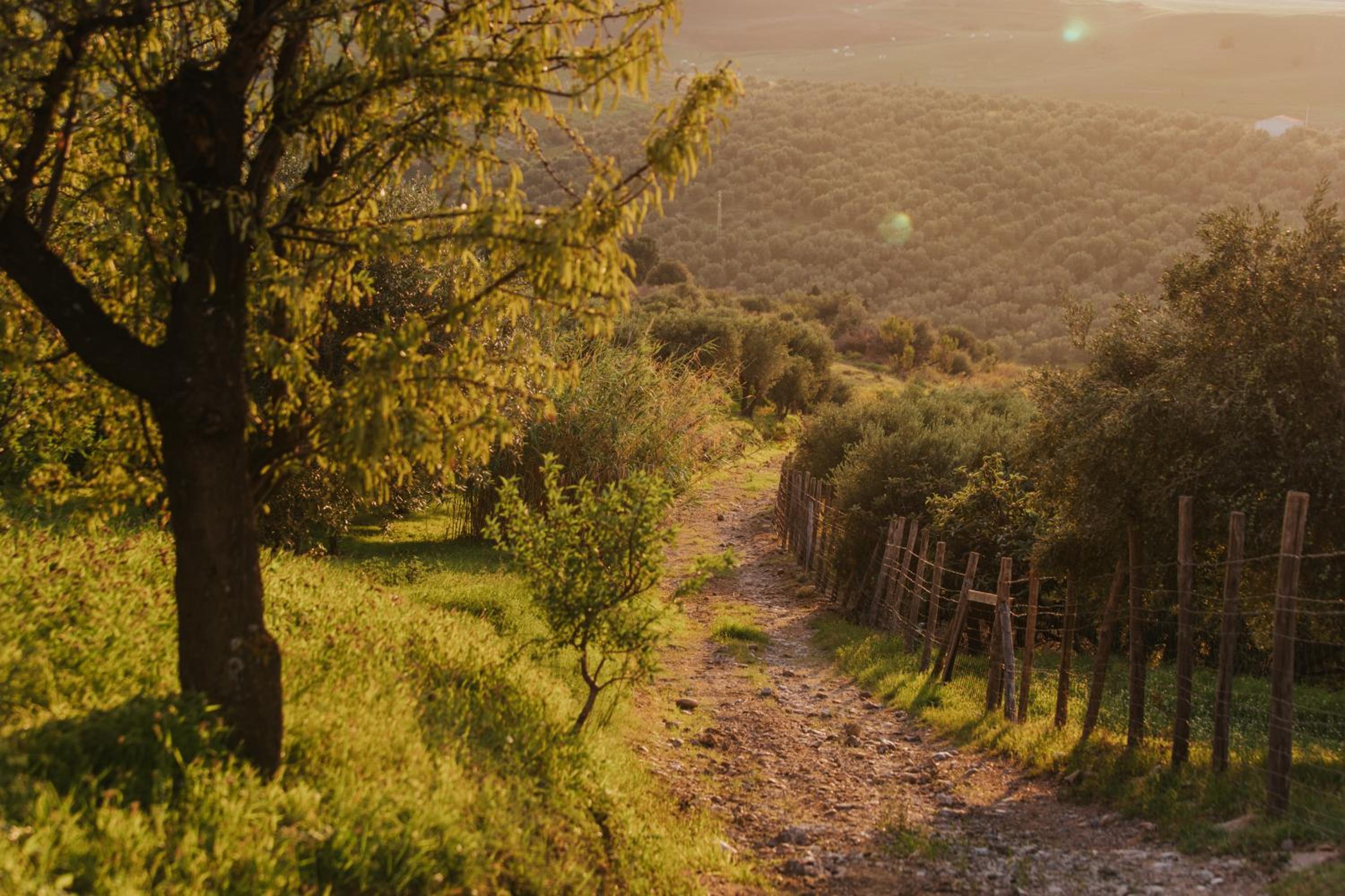 Terre Di Himera