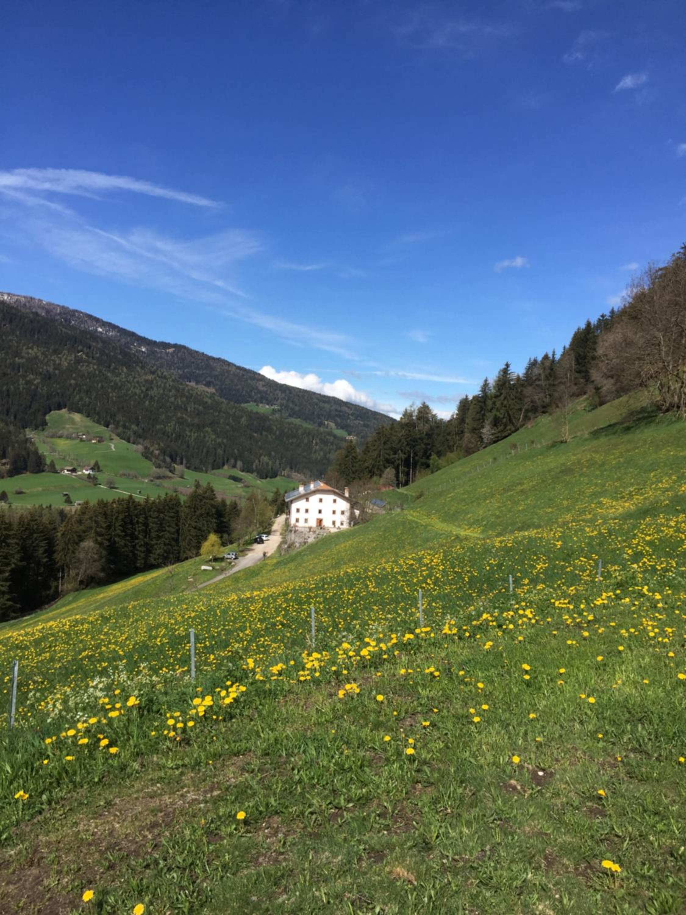 Mittersteinerhof