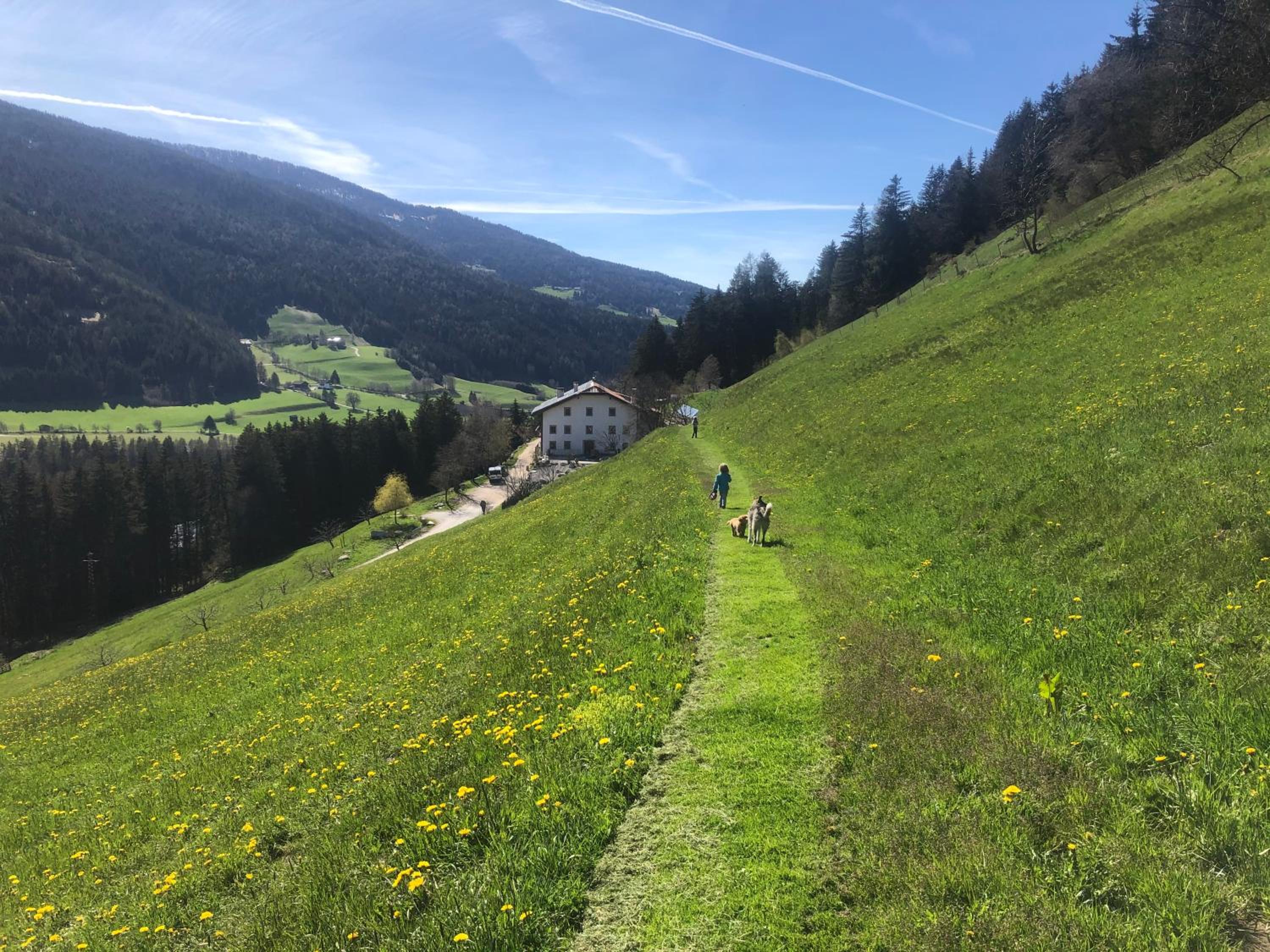 Mittersteinerhof