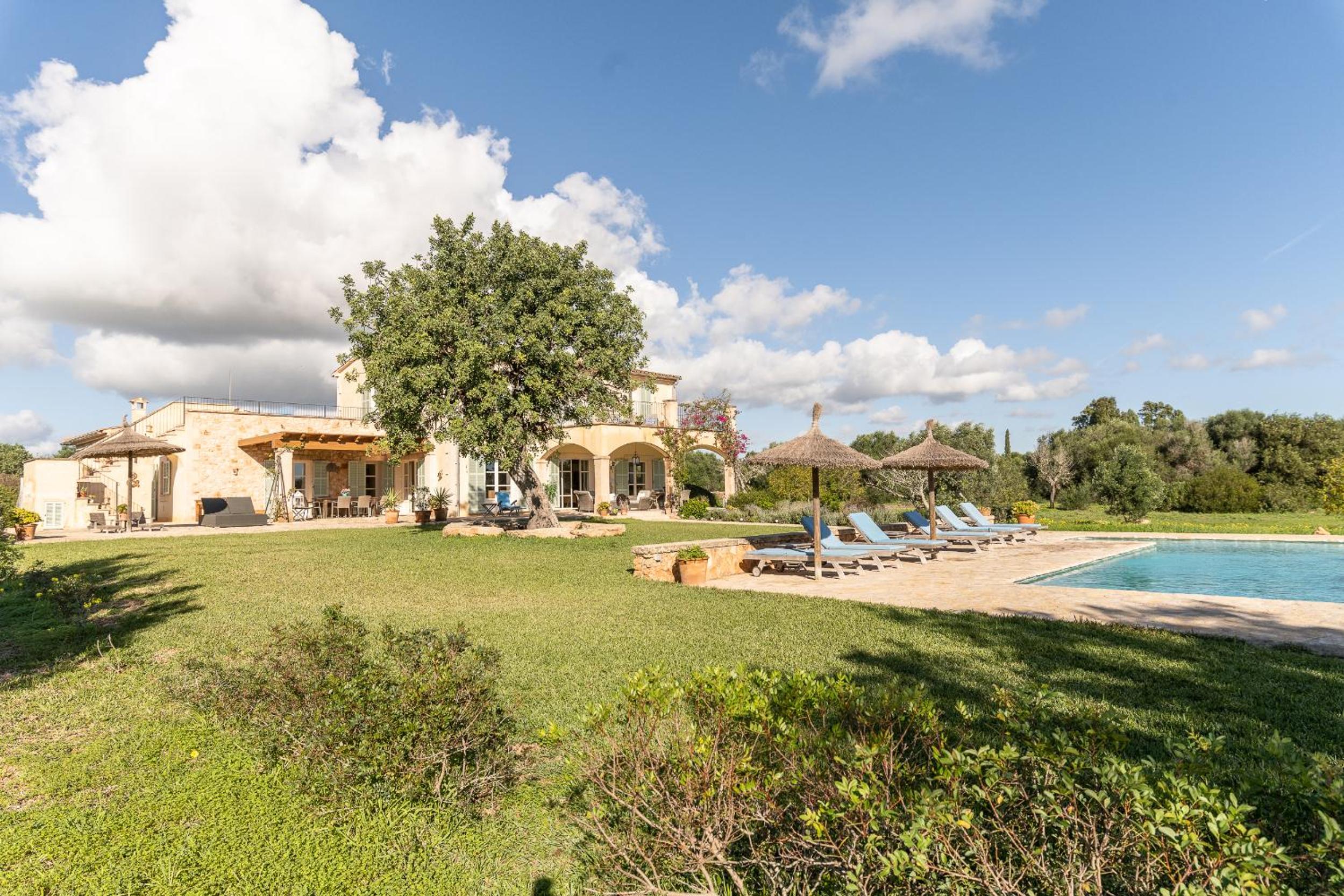 Finca Paulo