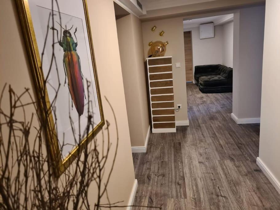 Gruppenhaus mit Grillkota für 16 Personen in Hahnenklee