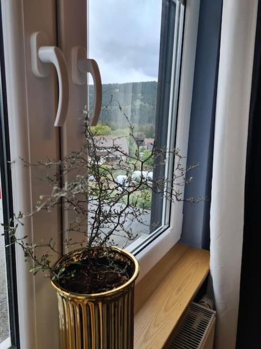 Gruppenhaus mit Grillkota für 16 Personen in Hahnenklee
