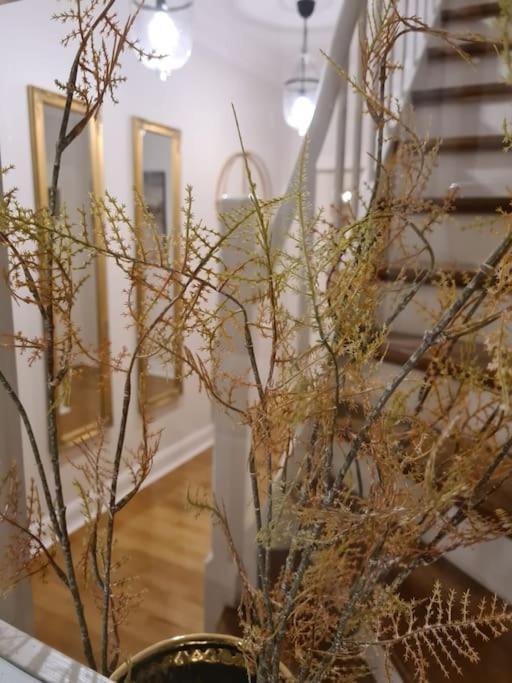 Gruppenhaus mit Grillkota für 16 Personen in Hahnenklee