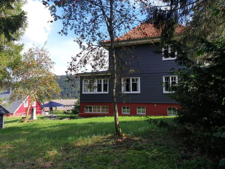Gruppenhaus mit Grillkota für 16 Personen in Hahnenklee