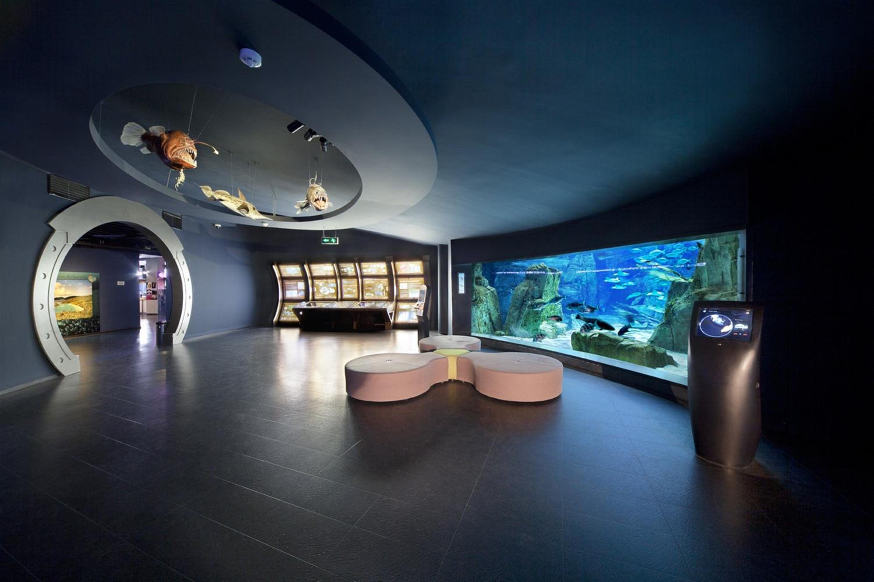 Crowne Plaza Florya İstanbul, bir IHG Oteli - Image 134