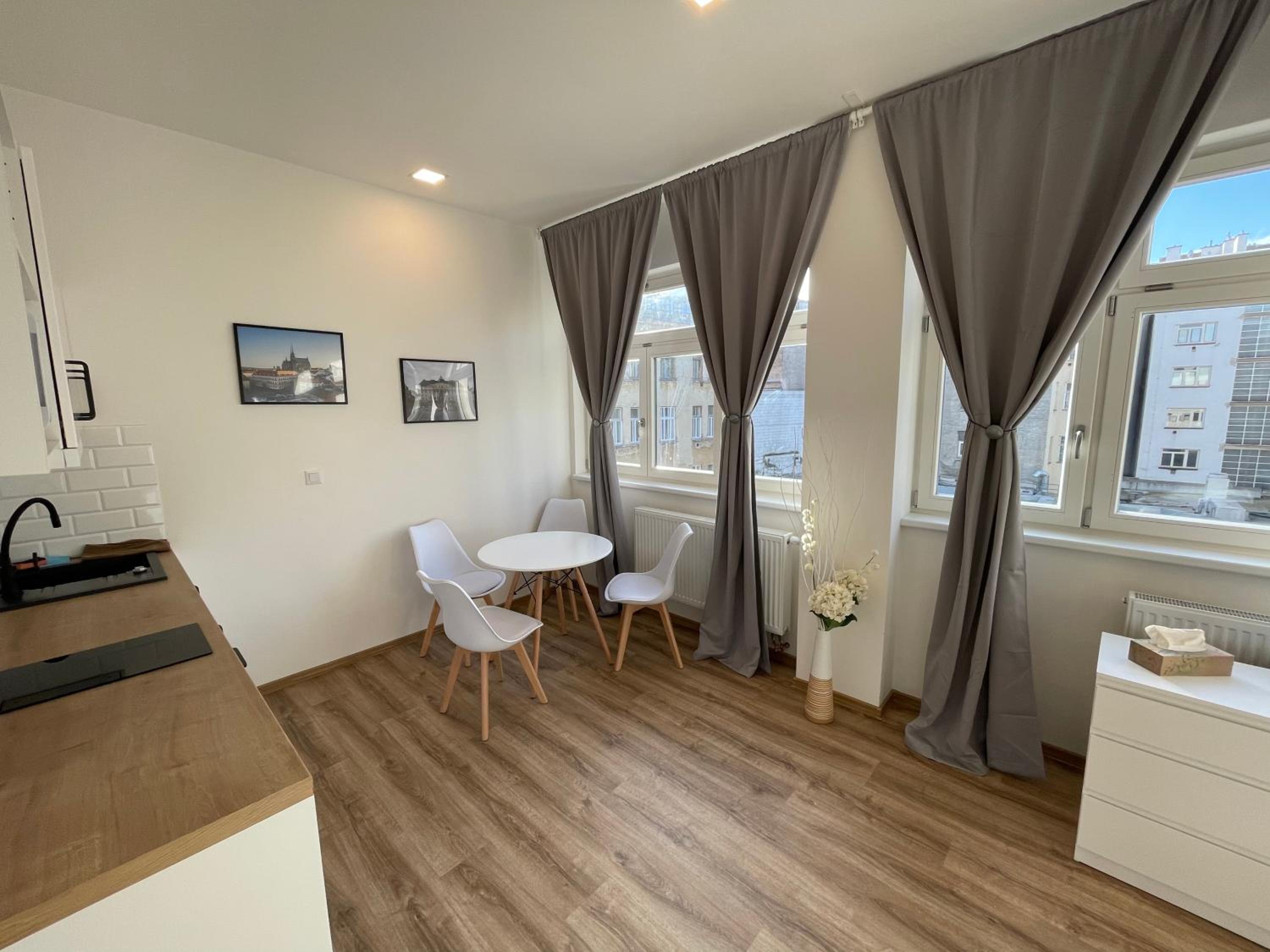 Historic Center Brno Apartment