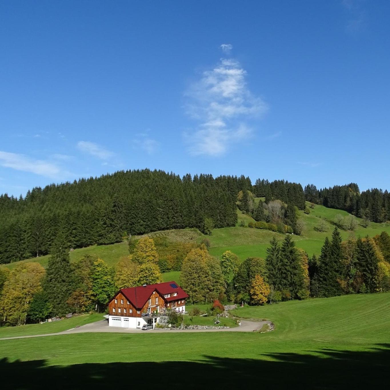 Ferienwohnung Böck, Wengen im Allgäu