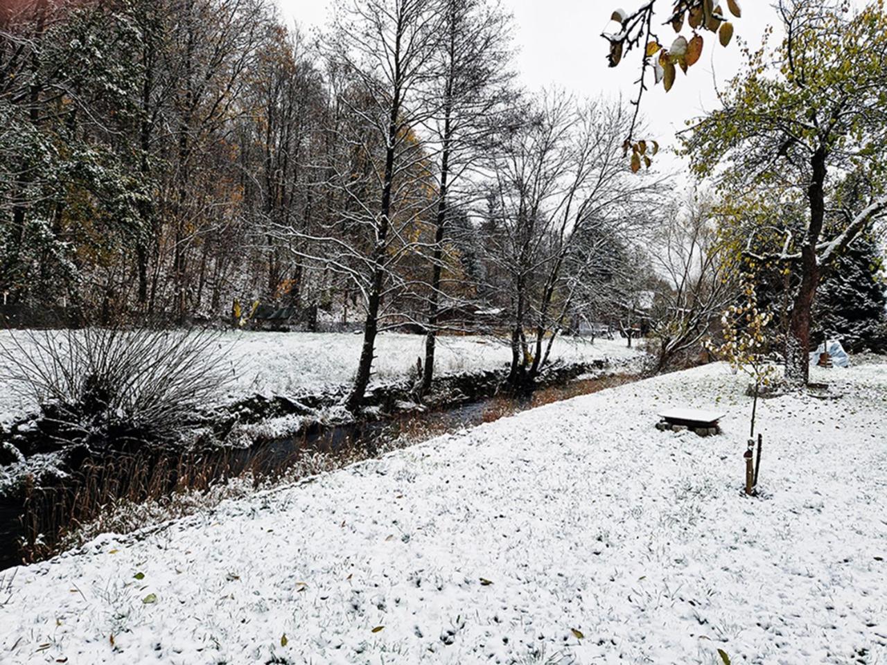 Holzhaus mit Kamin - Am Forellenfluss