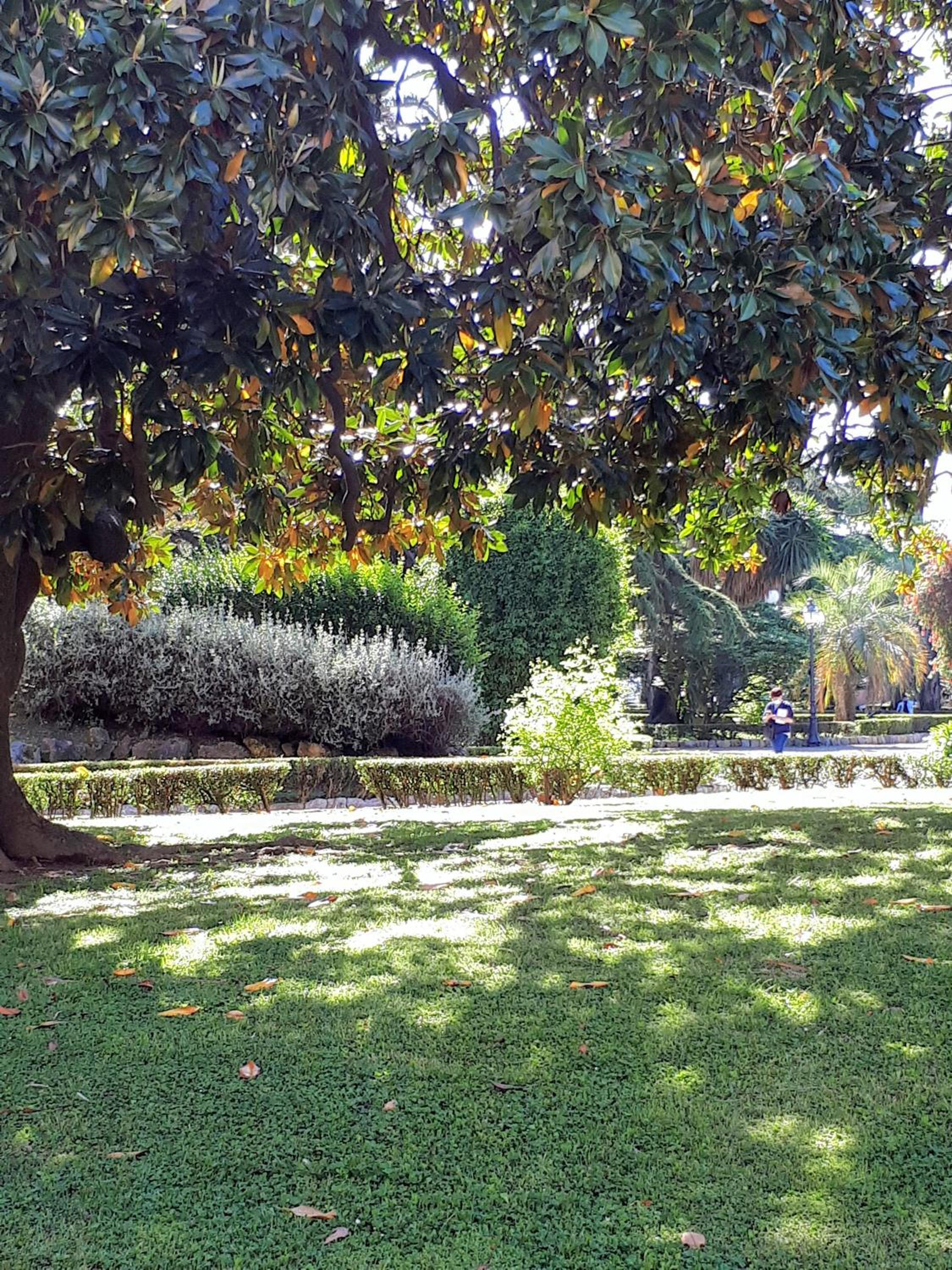 Photo 21