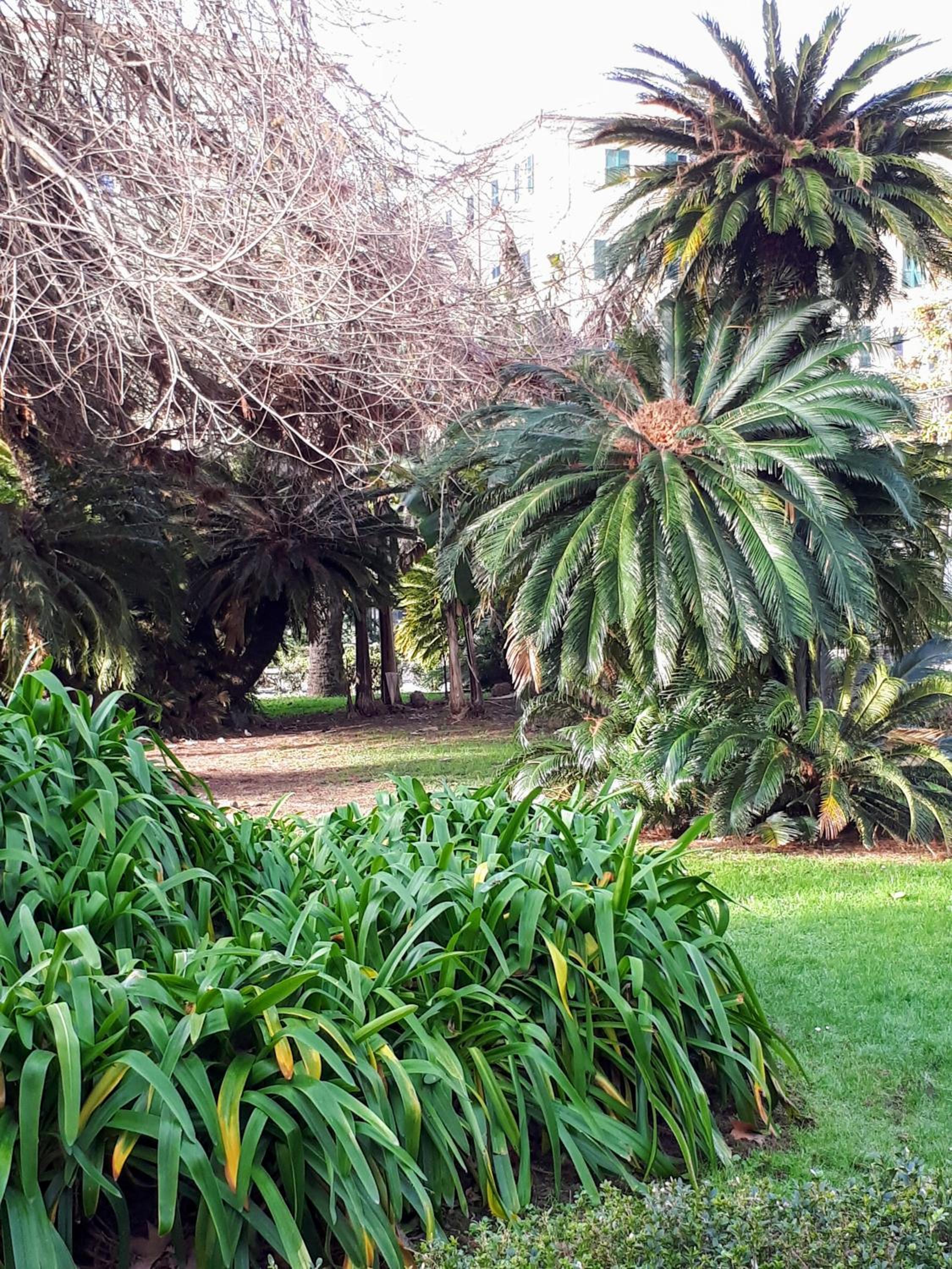 Photo 20