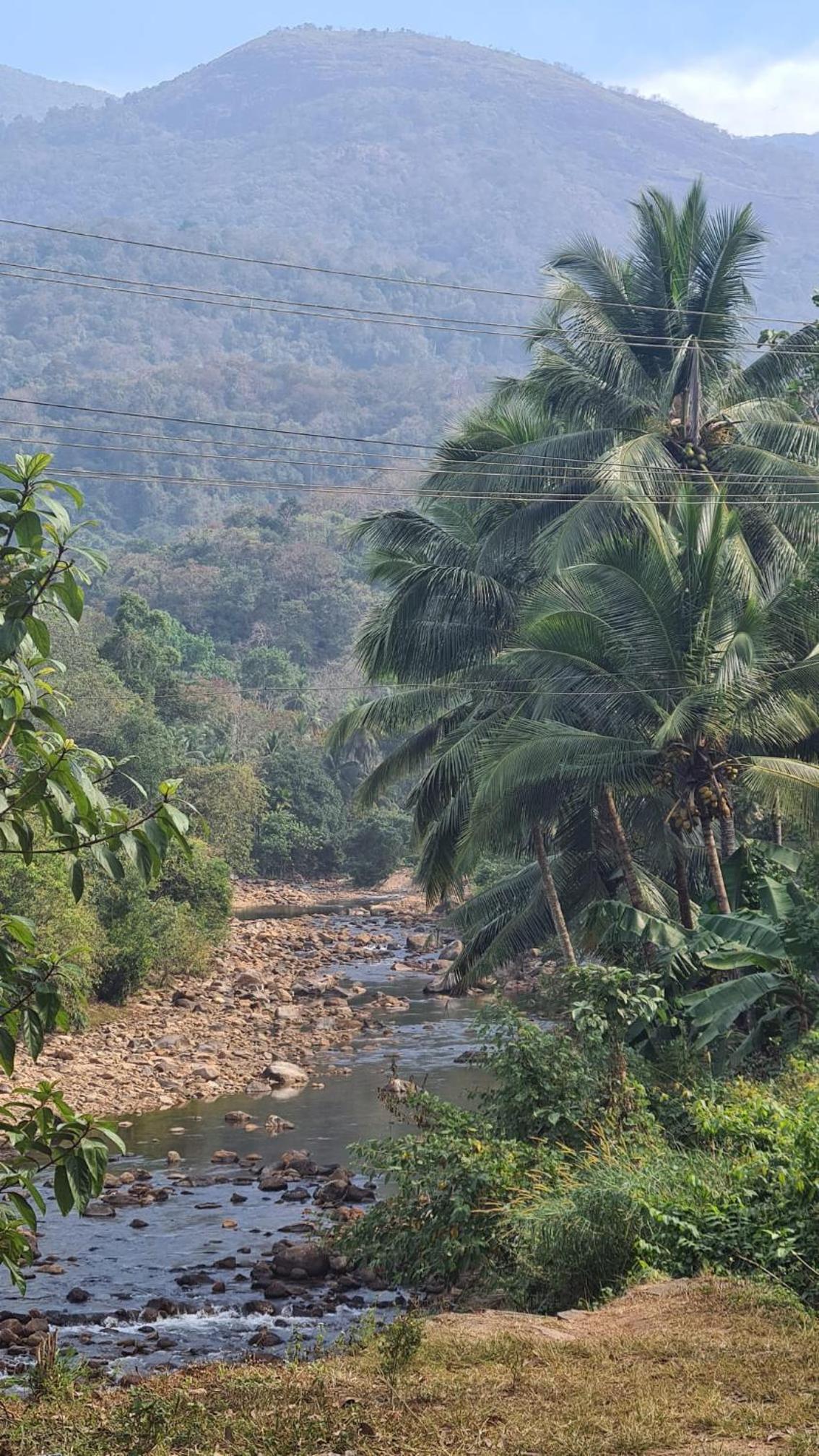 PONMUDI DALE. HOMESTAY