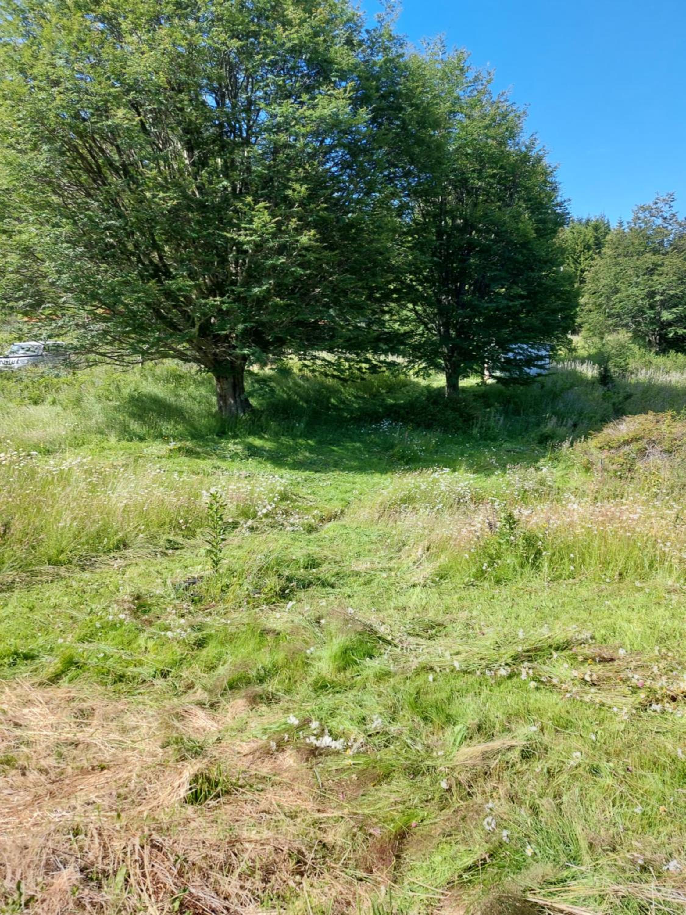 casa a 13km de coyhaique camino lago atravesado últimos 300 metros para vehículos 4x4