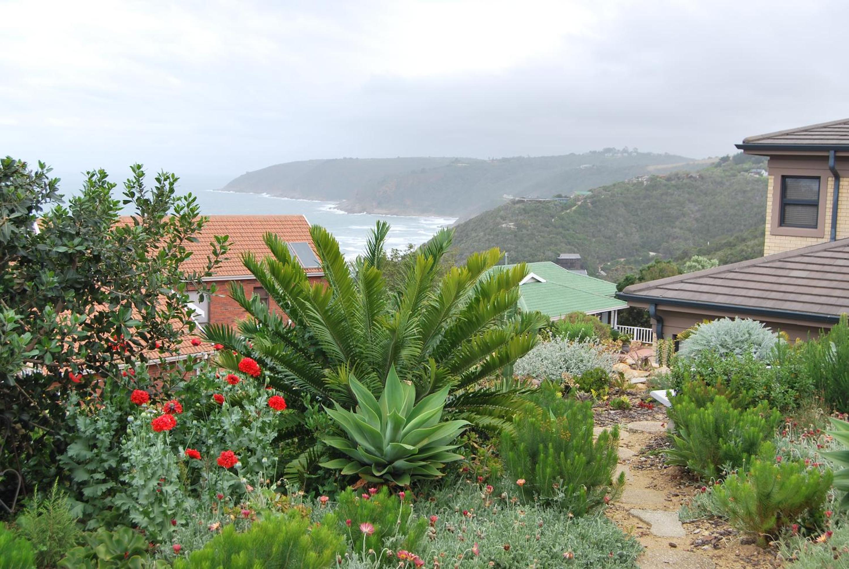 Wilderness Ocean View Cottage view 5