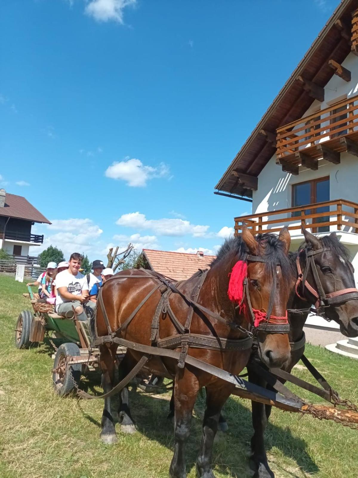 Casa Calea Haiducilor