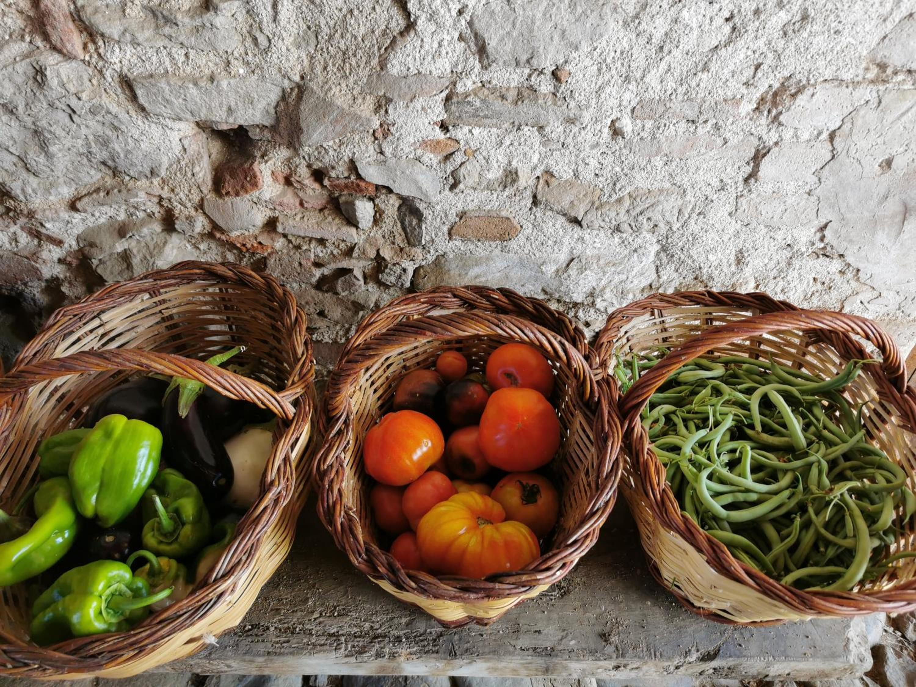 Agroturisme Can Burguès