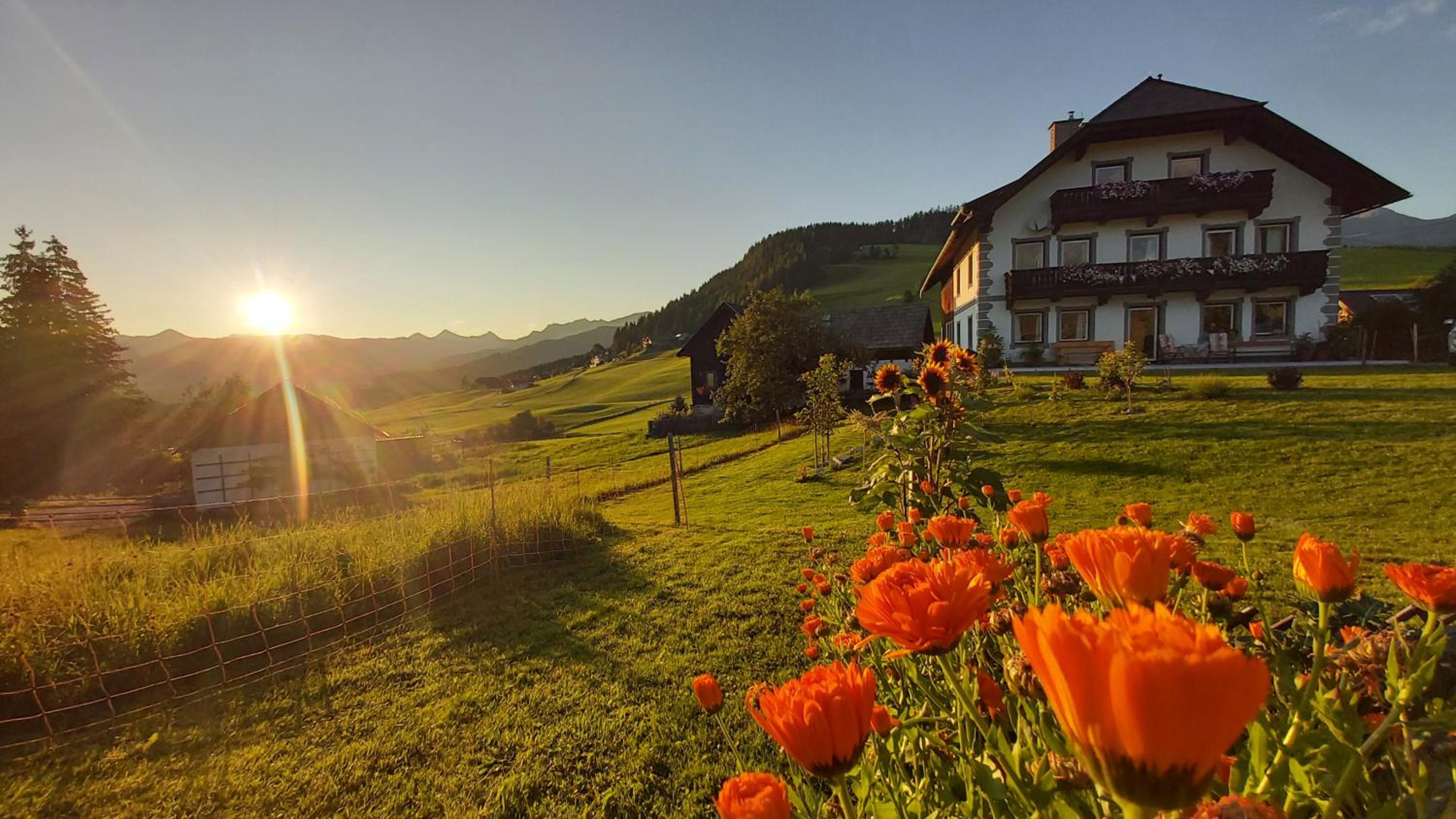 Ferienhaus SCHWEIZER Hof