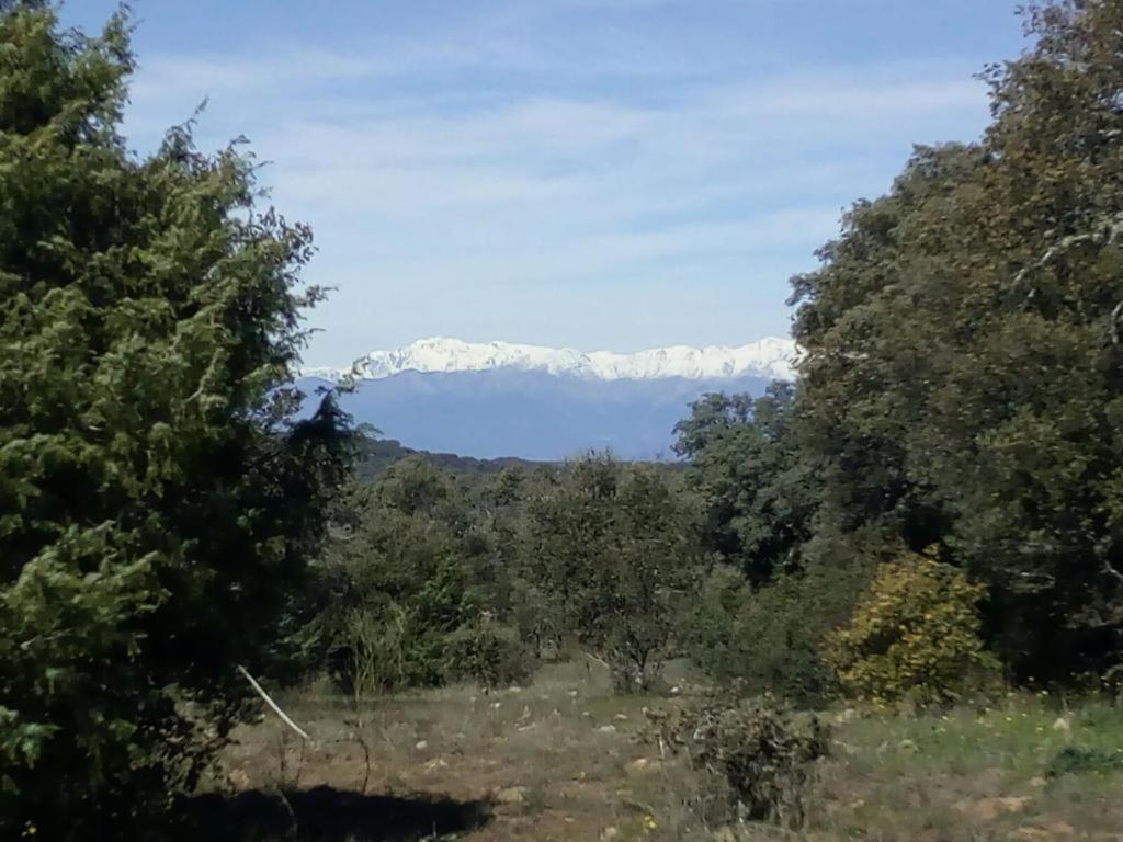 Photo 47