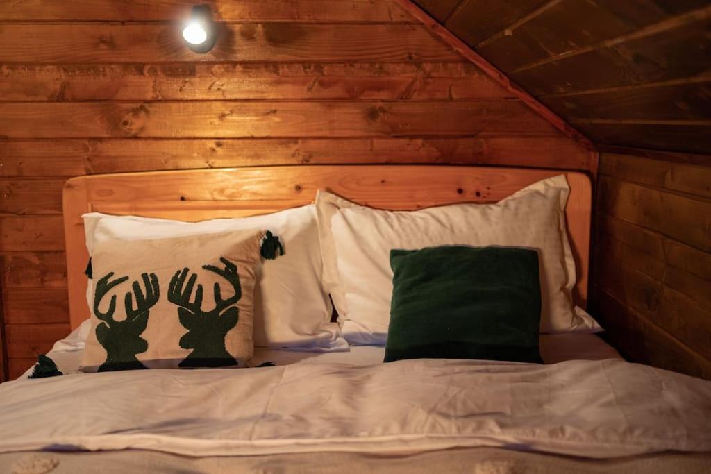 Biniște -Tiny House by the river view 4