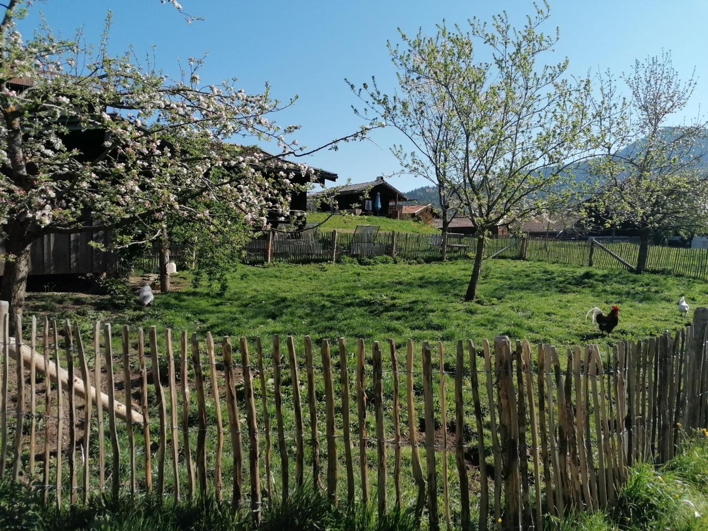 Matheishof inkl. Chiemgaukarte view 5