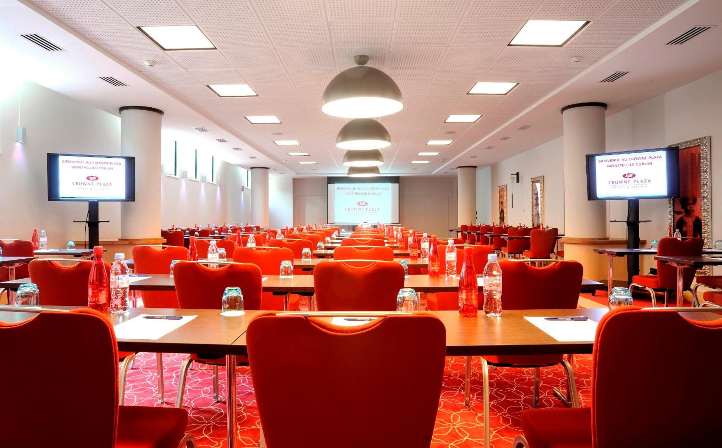 Montpellier Vacations - Crowne Plaza Montpellier Corum, an IHG Hotel - Property Image 42