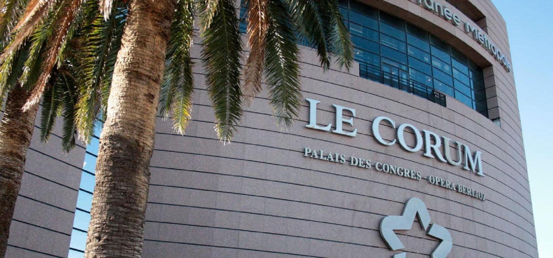 Montpellier Vacations - Crowne Plaza Montpellier Corum, an IHG Hotel - Property Image 92
