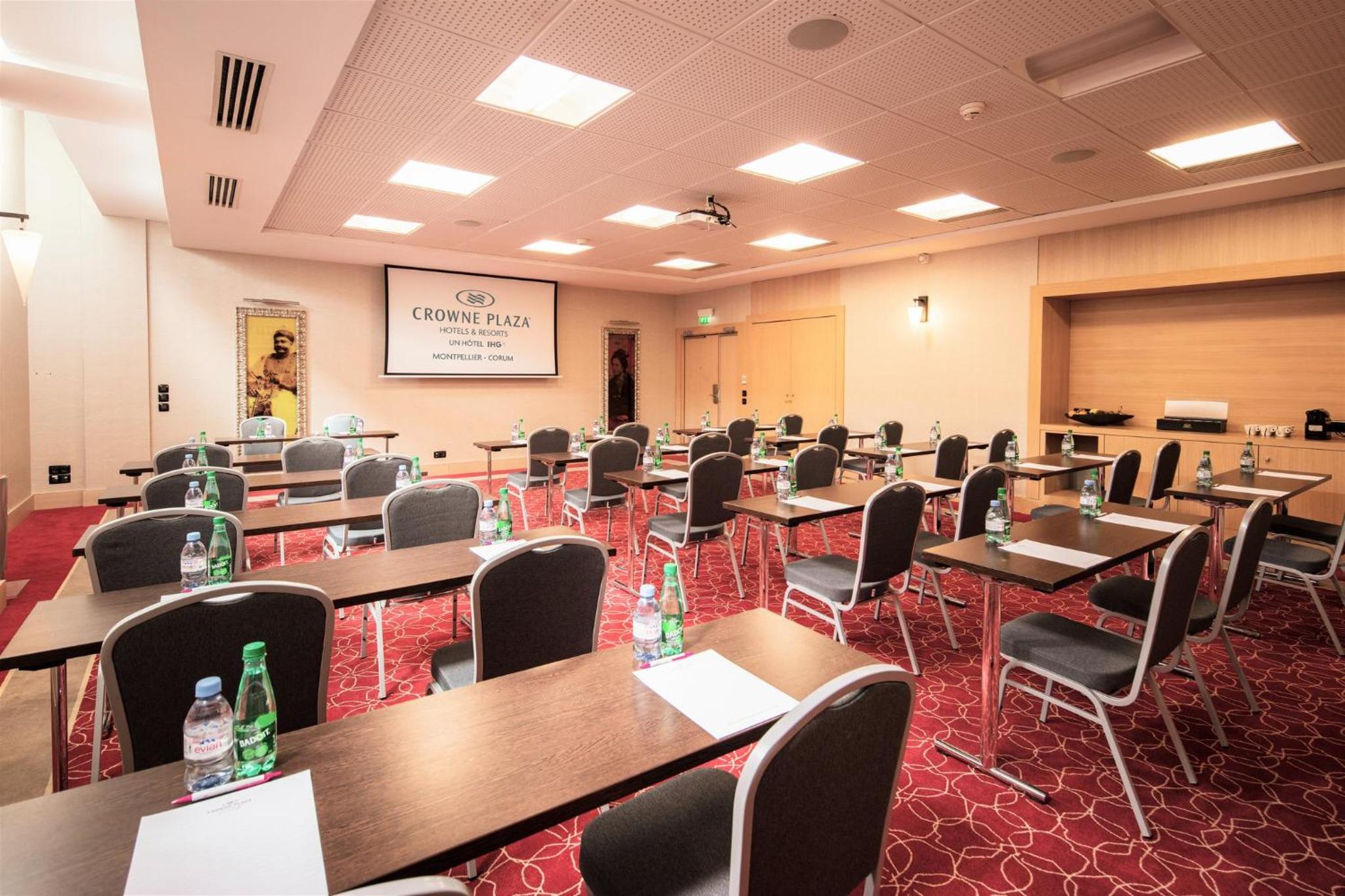 Montpellier Vacations - Crowne Plaza Montpellier Corum, an IHG Hotel - Property Image 35