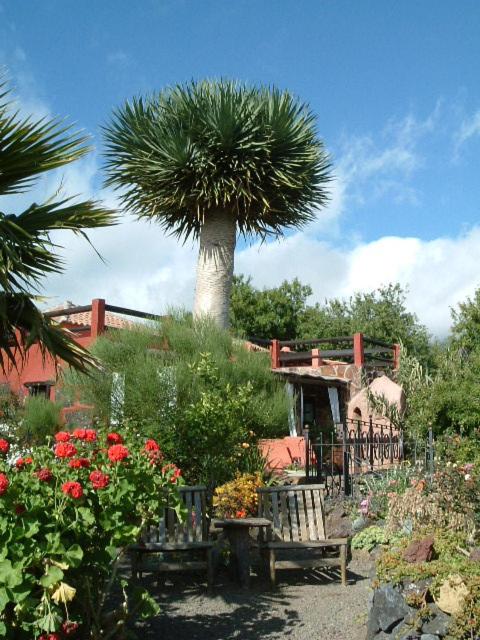 HACIENDA LA CENTENARIA,CASAS RURALES