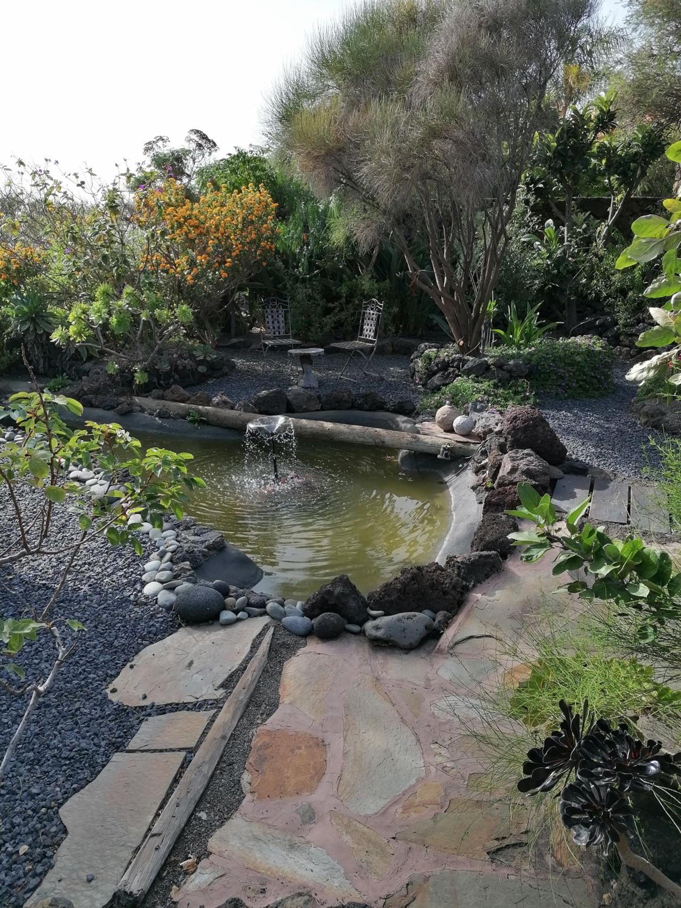 HACIENDA LA CENTENARIA,CASAS RURALES