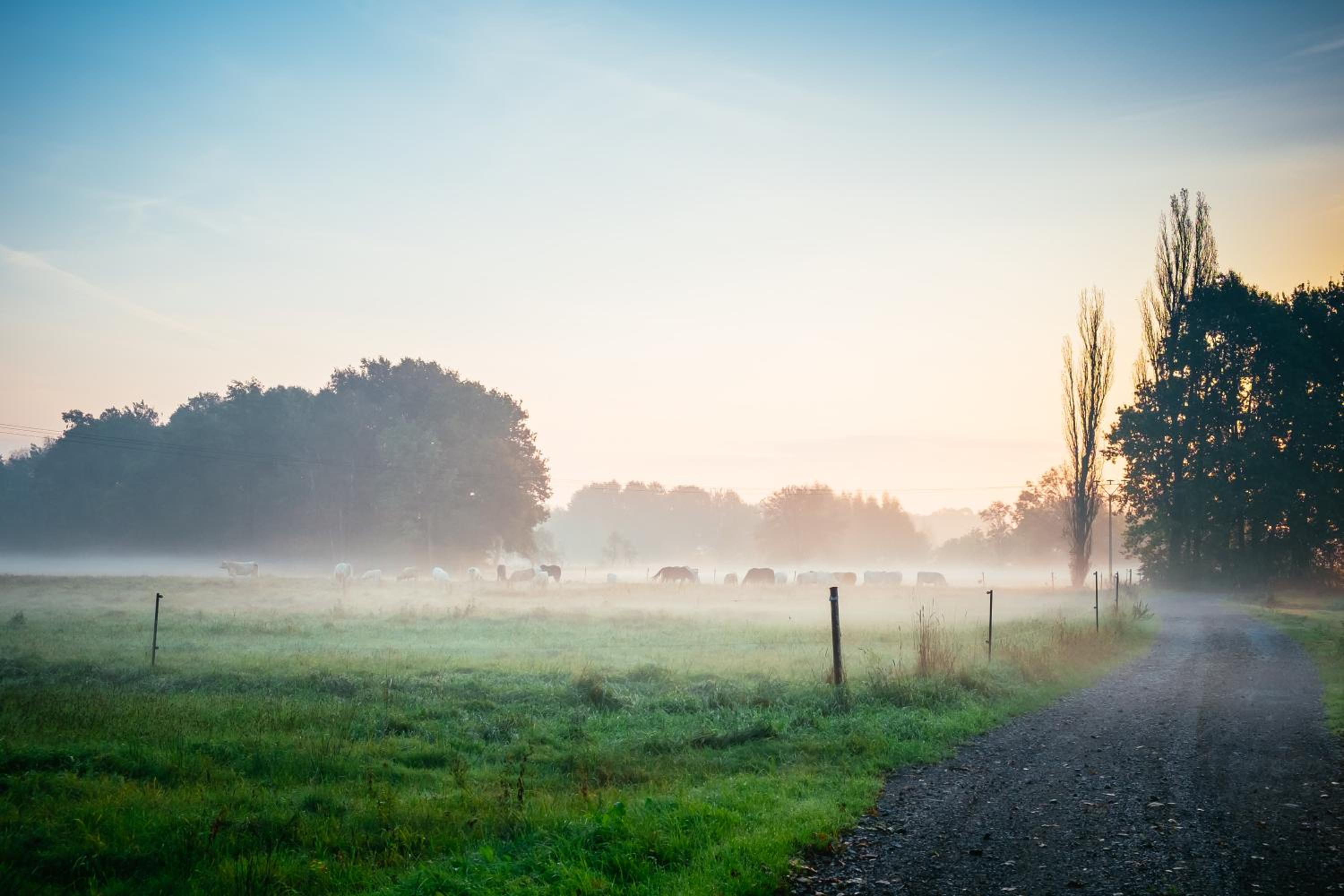 Landgoed Lodges Scholten Linde